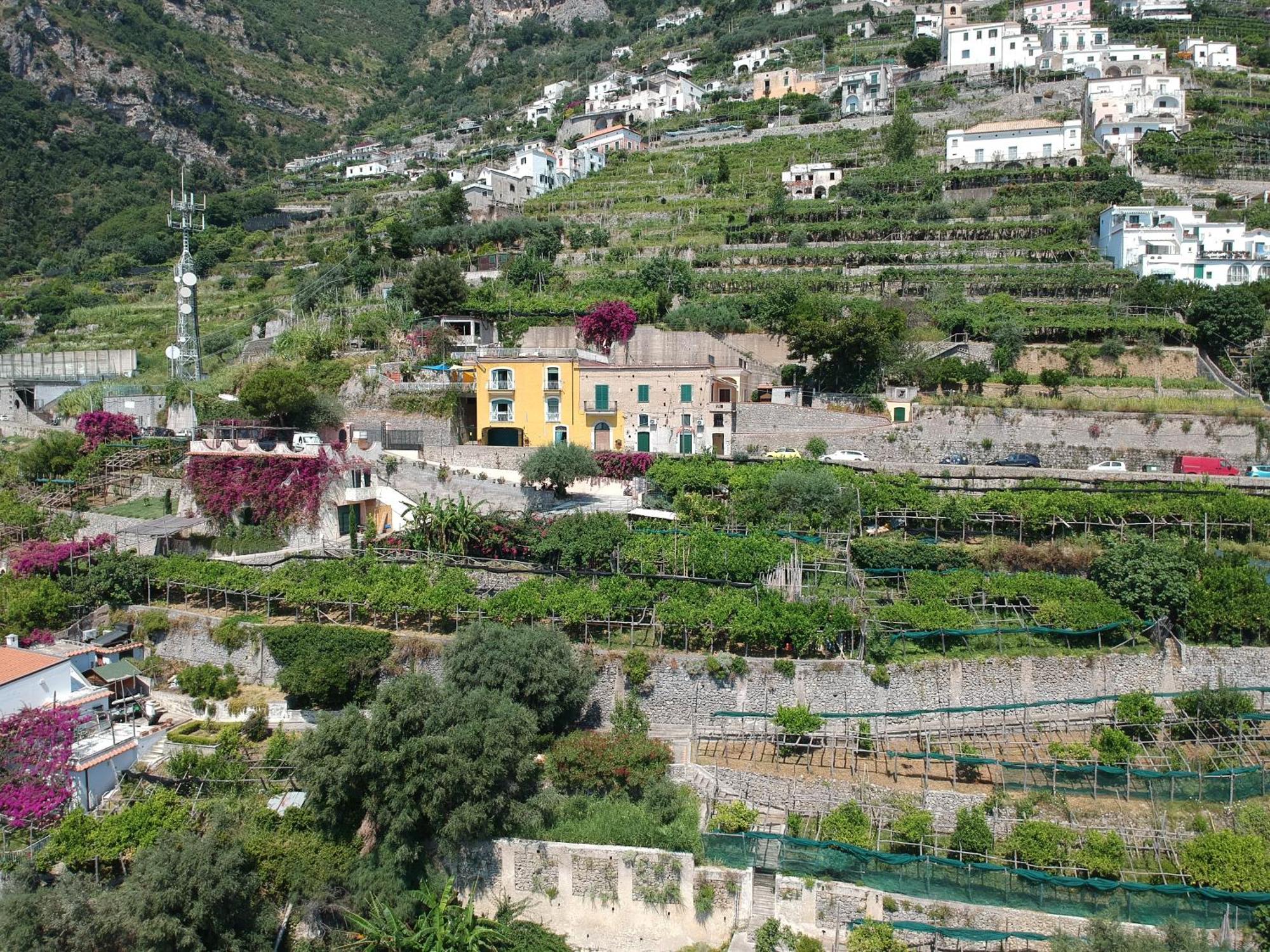 Agriturismo Fuoco D'Amalfi Villa Iazzetta Exteriör bild