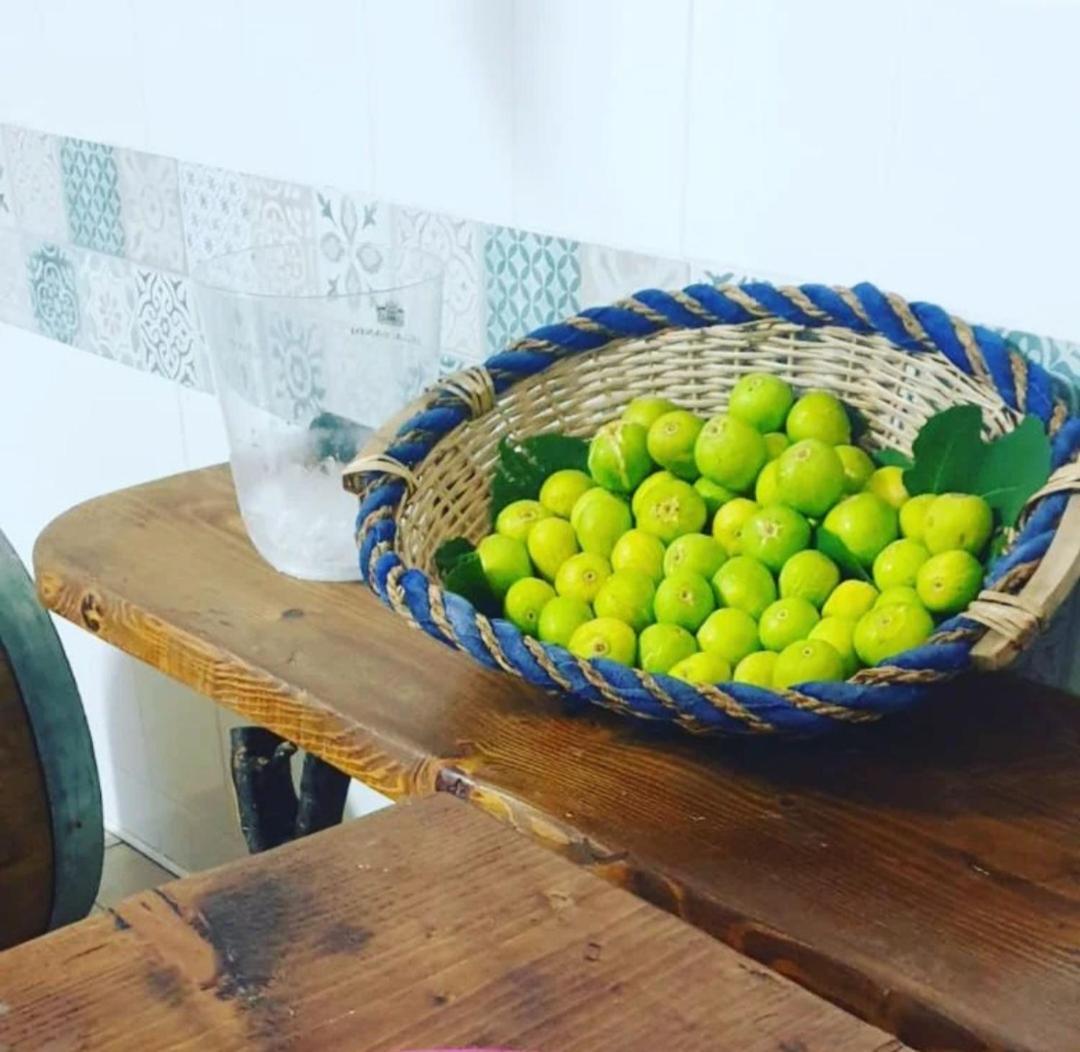 Agriturismo Fuoco D'Amalfi Villa Iazzetta Exteriör bild