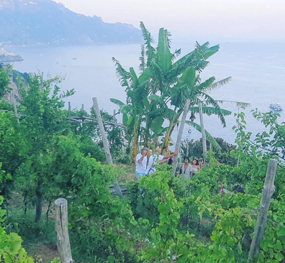Agriturismo Fuoco D'Amalfi Villa Iazzetta Exteriör bild